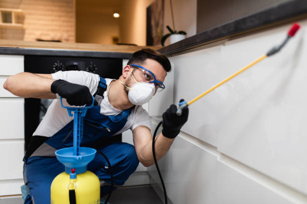 Best Residential Pest Control  in Whitehall, WI