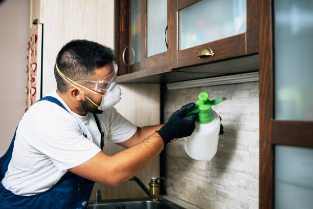 Best Pest Prevention Services  in Whitehall, WI