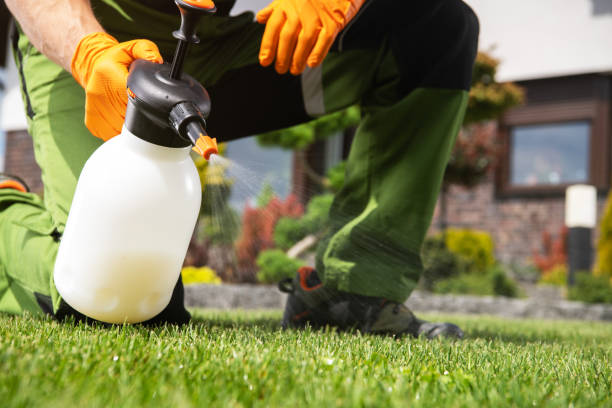 Bird Control in Whitehall, WI