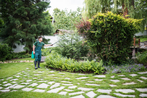Best Ant Control Services  in Whitehall, WI