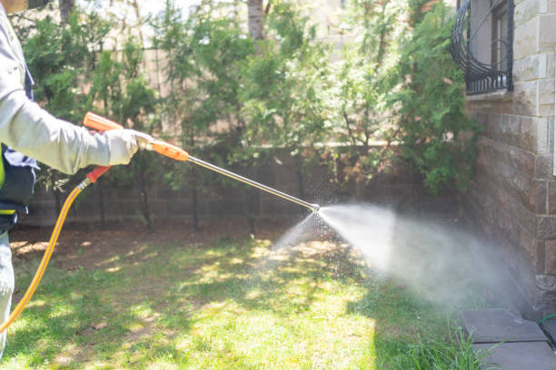 Best Best Pest Control Companies  in Whitehall, WI