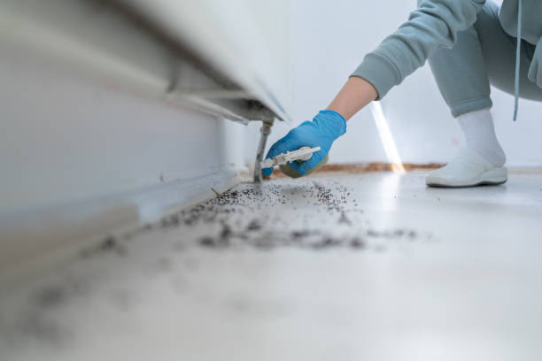 Best Bed Bug Extermination  in Whitehall, WI